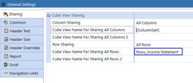 Blue rectangle box on the Rows Income Statement Parameter.