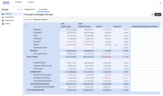 The Preview tab displays the Budget Application Group, Overview Navigation Group, Commentary Page, and content, which is the Forecast vs Budget Review financial data in a grid.