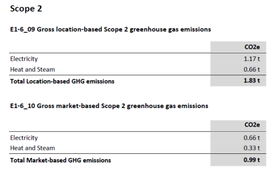 Location-based and Market-based usage displays on two separate summary tables with sample data for Electricity and Heat and Steam. Each table shows the utility calculation for each category with the total amount bold  below the table. 