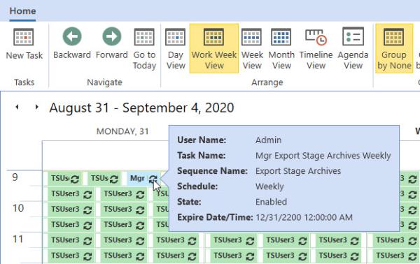 Calendar View